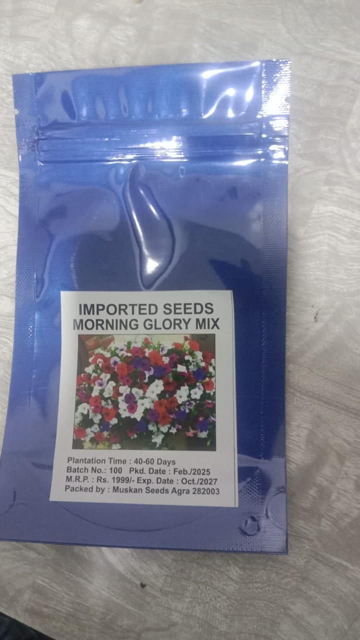 Mix Colour Morning Glory Mix Flower Seeds For Home Garden