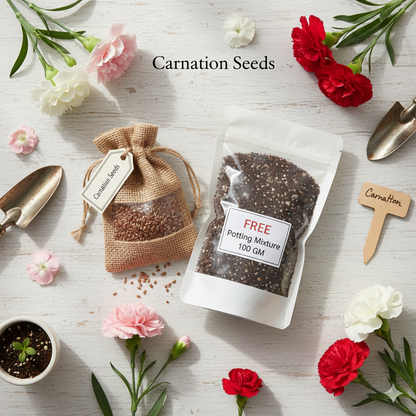 Carnation Seeds (Free Pot Mixture 100 gm)